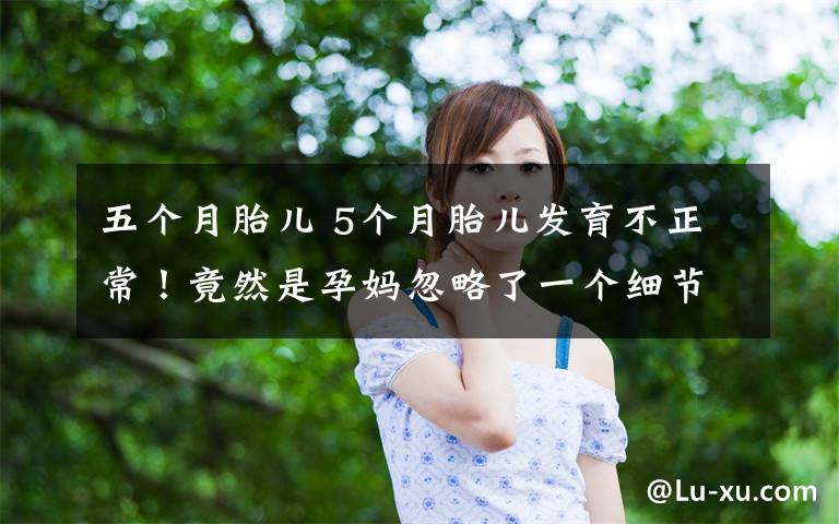 五个月胎儿 5个月胎儿发育不正常！竟然是孕妈忽略了一个细节