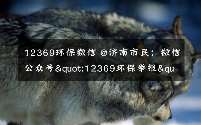 12369环保微信 @济南市民：微信公众号"12369环保举报"，请关注