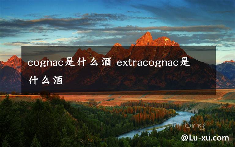 cognac是什么酒 extracognac是什么酒