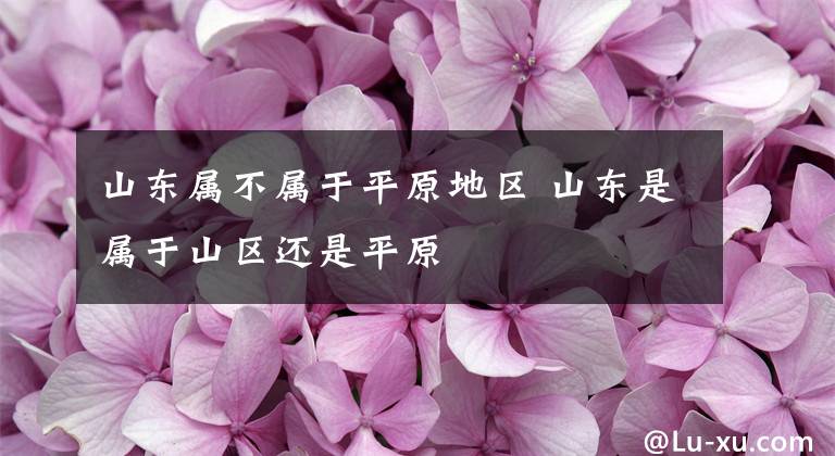 山东属不属于平原地区 山东是属于山区还是平原