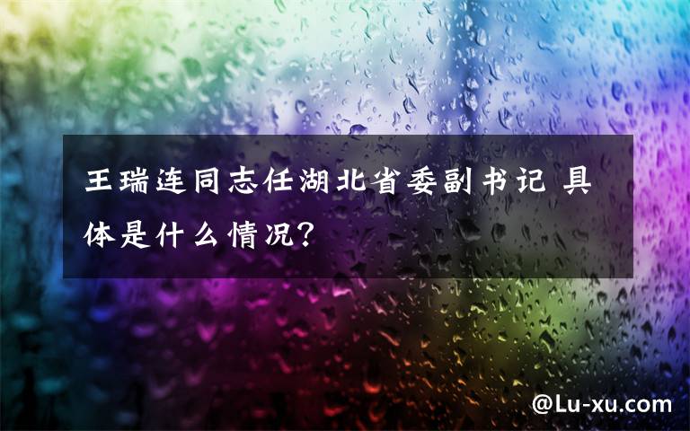 王瑞连同志任湖北省委副书记 具体是什么情况？
