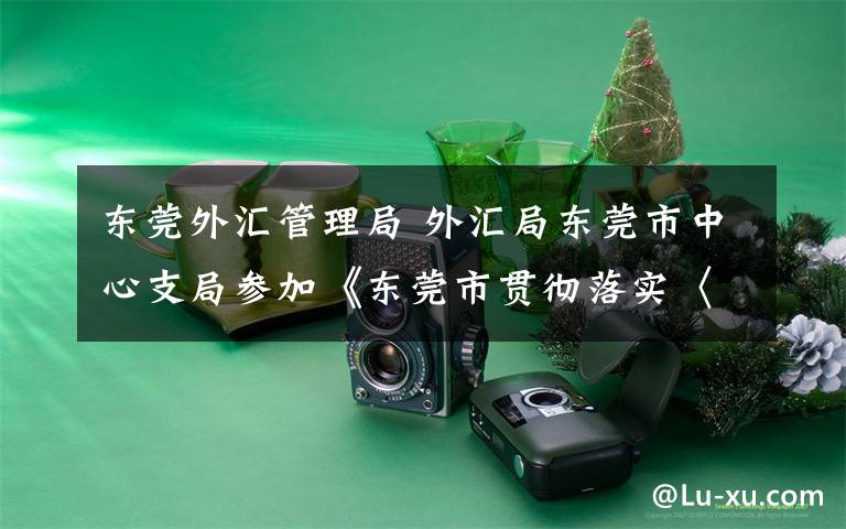 东莞外汇管理局 外汇局东莞市中心支局参加《东莞市贯彻落实〈关于金融支持粤港澳大湾区建设的意见〉行动方案》新闻发布会
