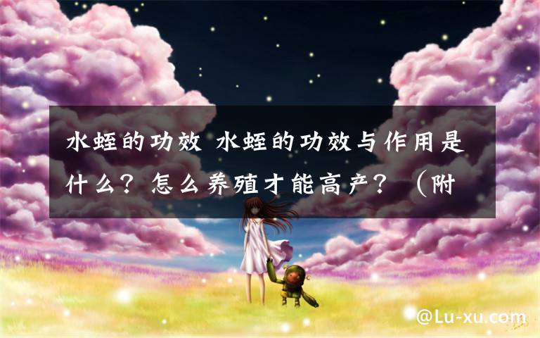 水蛭的功效 水蛭的功效与作用是什么？怎么养殖才能高产？（附水蛭的人工繁殖技术）