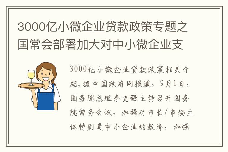 3000亿小微企业贷款政策专题之国常会部署加大对中小微企业支持力度，再新增3000亿元支小再贷款额度