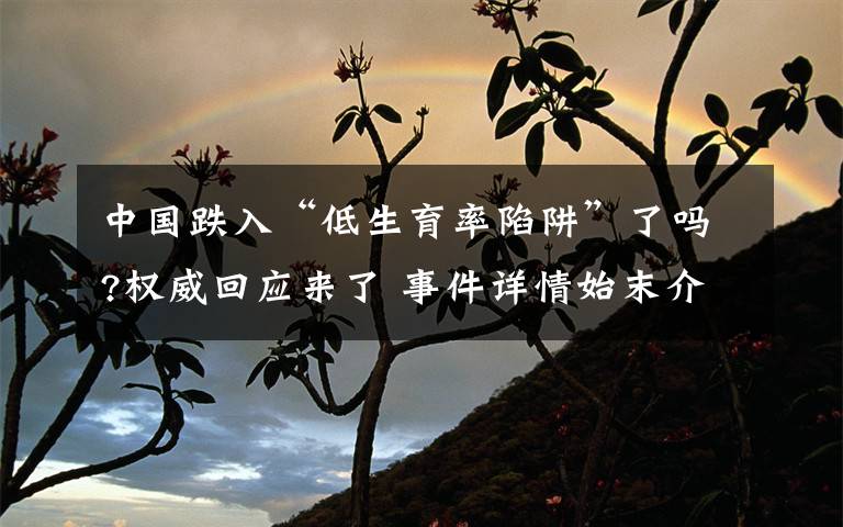 中国跌入“低生育率陷阱”了吗?权威回应来了 事件详情始末介绍！