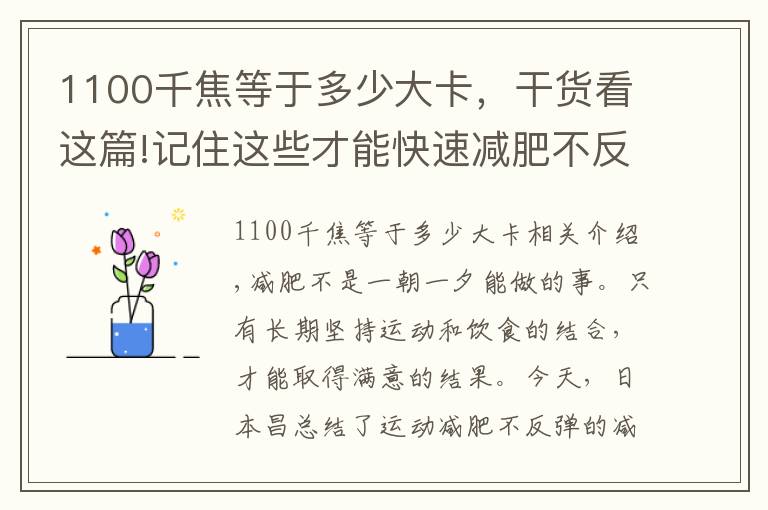 1100千焦等于多少大卡，干货看这篇!记住这些才能快速减肥不反弹