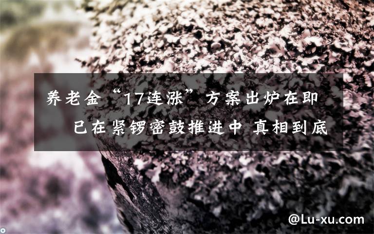 养老金“17连涨”方案出炉在即  已在紧锣密鼓推进中 真相到底是怎样的？
