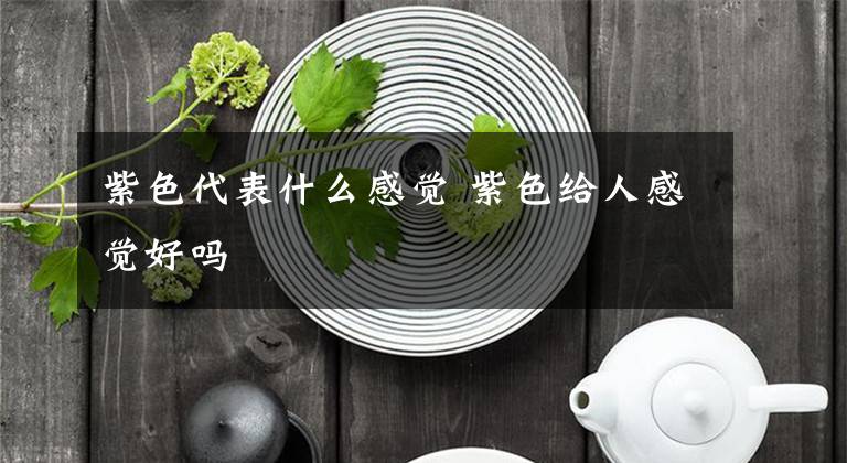 紫色代表什么感觉 紫色给人感觉好吗