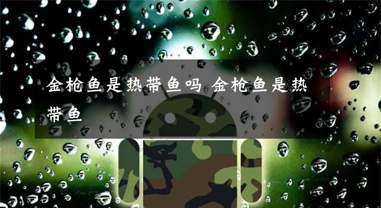金枪鱼是热带鱼吗 金枪鱼是热带鱼