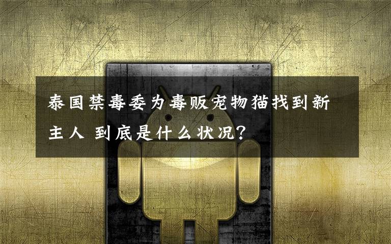 泰国禁毒委为毒贩宠物猫找到新主人 到底是什么状况？