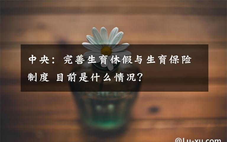 中央：完善生育休假与生育保险制度 目前是什么情况？