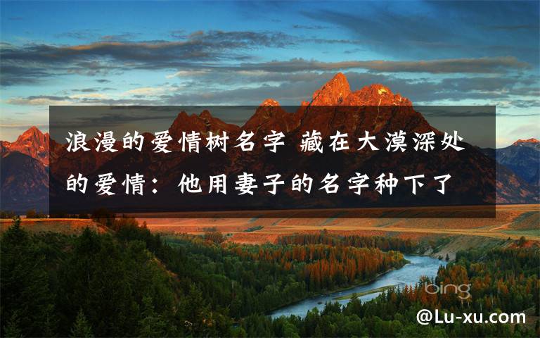 浪漫的爱情树名字 藏在大漠深处的爱情：他用妻子的名字种下了自己的“爱情树”
