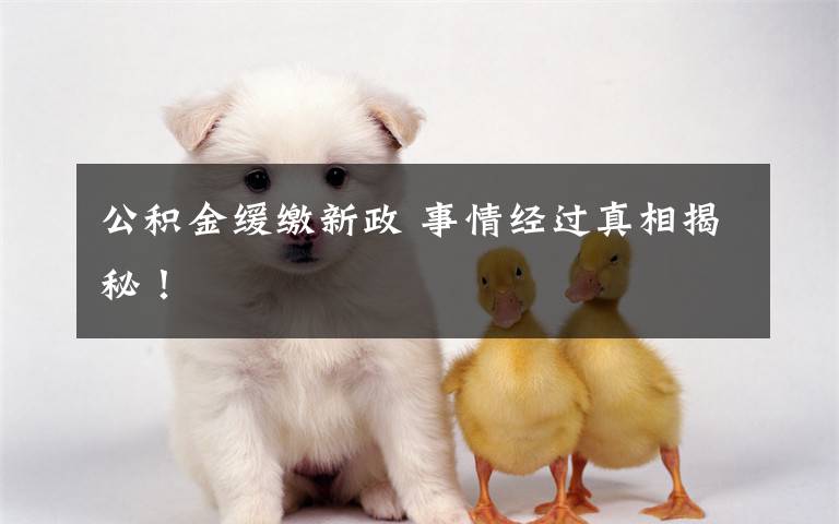 公积金缓缴新政 事情经过真相揭秘！
