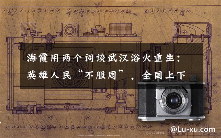 海霞用两个词谈武汉浴火重生：英雄人民“不服周”，全国上下“搭把手”！ 事情经过真相揭秘！