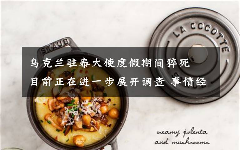 乌克兰驻泰大使度假期间猝死  目前正在进一步展开调查 事情经过真相揭秘！