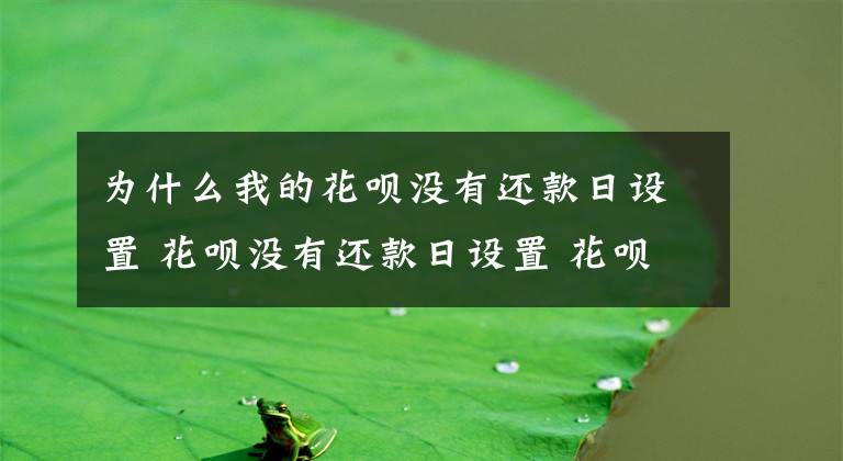 为什么我的花呗没有还款日设置 花呗没有还款日设置 花呗还款日20号当天还可以吗