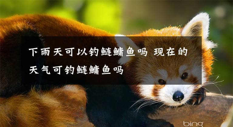 下雨天可以钓鲢鳙鱼吗 现在的天气可钓鲢鳙鱼吗