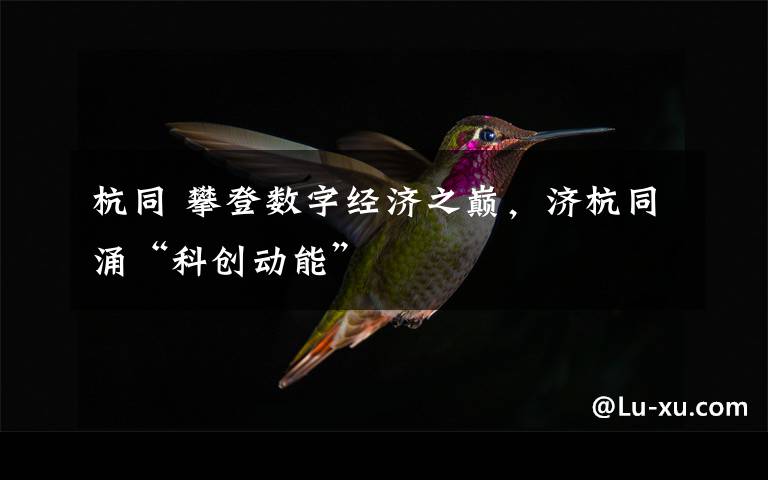 杭同 攀登数字经济之巅，济杭同涌“科创动能”