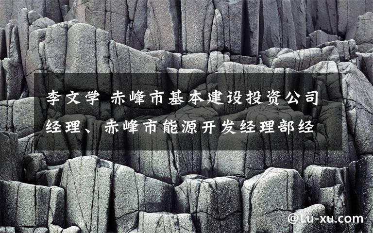 李文学 赤峰市基本建设投资公司经理、赤峰市能源开发经理部经理李文学严重违纪违法被移送检察机关依法审查起诉