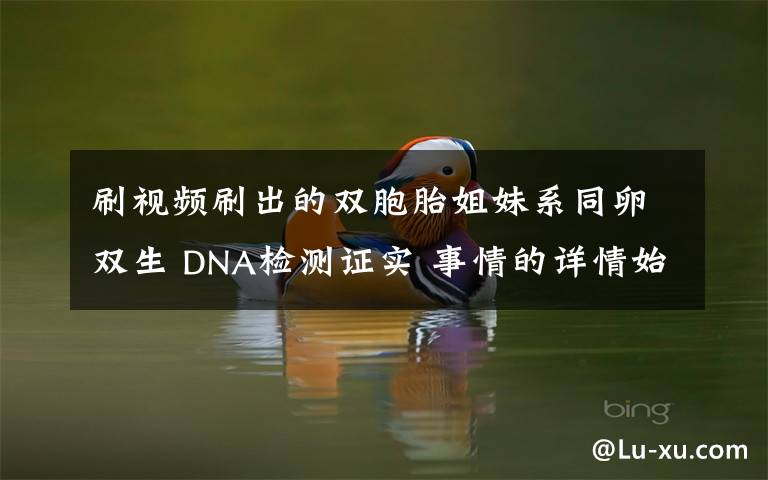 刷视频刷出的双胞胎姐妹系同卵双生 DNA检测证实 事情的详情始末是怎么样了！