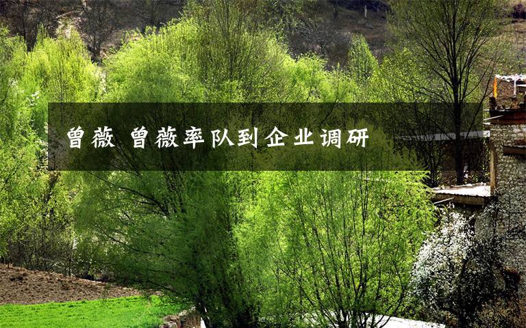 曾薇 曾薇率队到企业调研