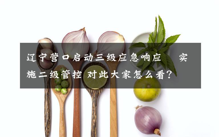 辽宁营口启动三级应急响应  实施二级管控 对此大家怎么看？