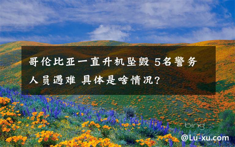 哥伦比亚一直升机坠毁 5名警务人员遇难 具体是啥情况?