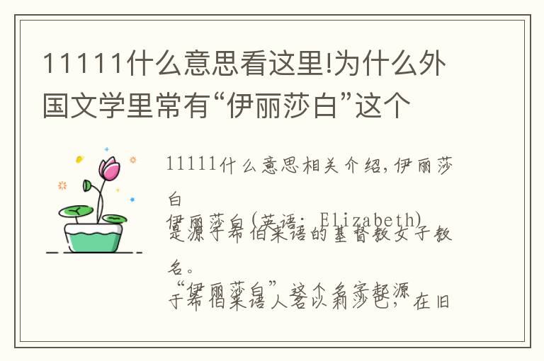 11111什么意思看这里!为什么外国文学里常有“伊丽莎白”这个名字？伊丽莎白含义是什么