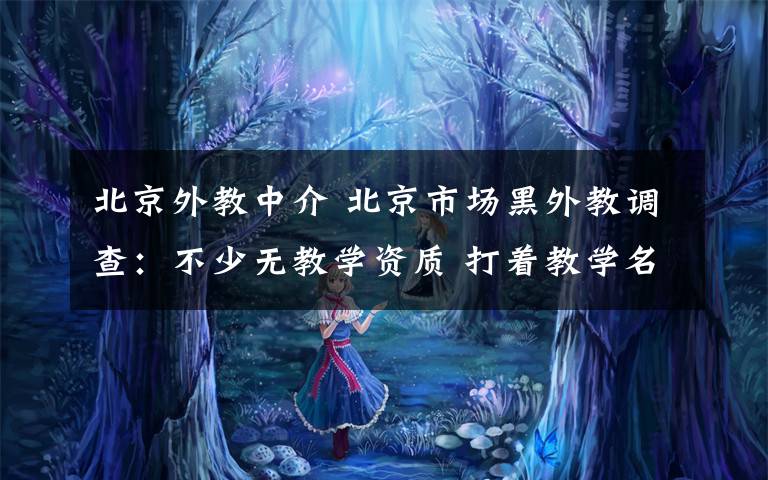 北京外教中介 北京市场黑外教调查：不少无教学资质 打着教学名义找女朋友