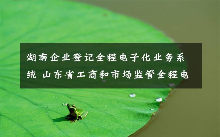 湖南企业登记全程电子化业务系统 山东省工商和市场监管全程电子化登记系统操作指南