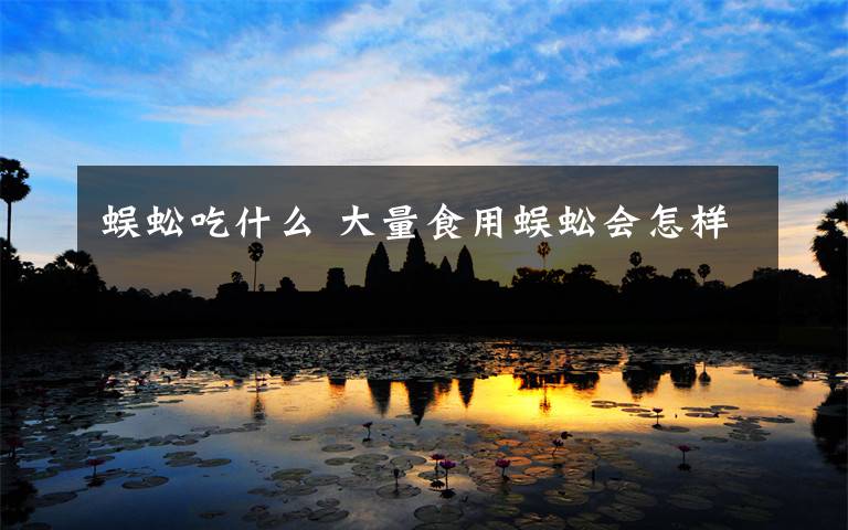 蜈蚣吃什么 大量食用蜈蚣会怎样