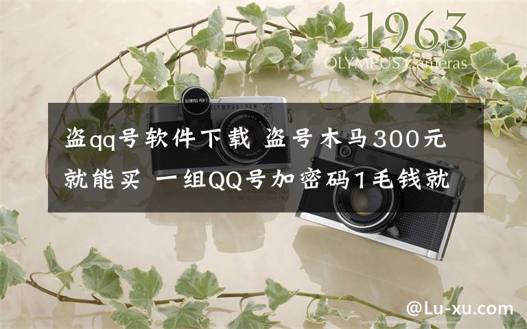 盗qq号软件下载 盗号木马300元就能买 一组QQ号加密码1毛钱就能买到
