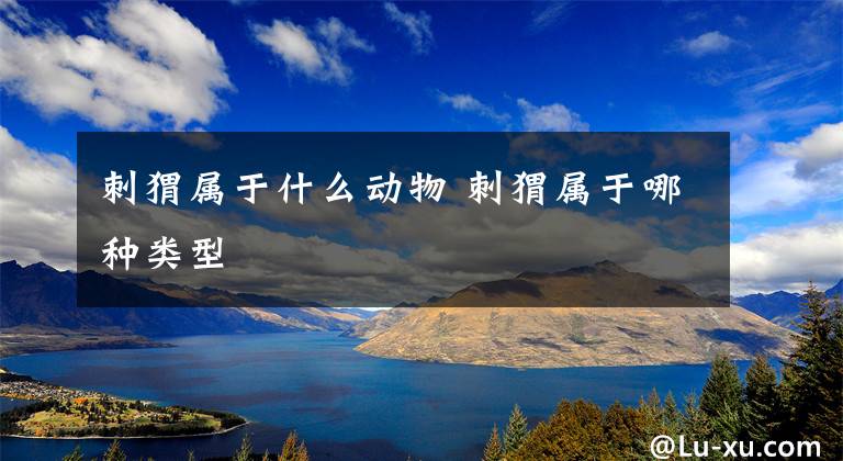 刺猬属于什么动物 刺猬属于哪种类型