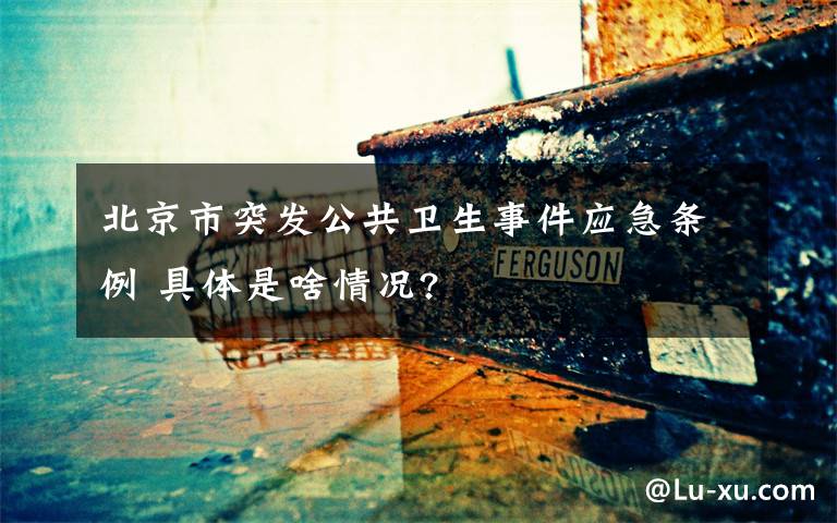 北京市突发公共卫生事件应急条例 具体是啥情况?