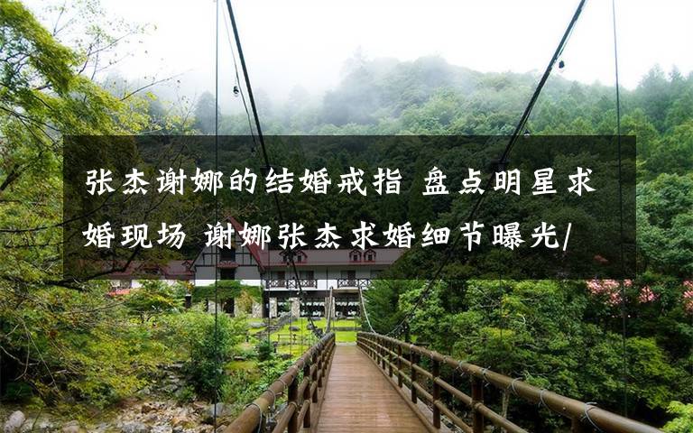 张杰谢娜的结婚戒指 盘点明星求婚现场 谢娜张杰求婚细节曝光/组图