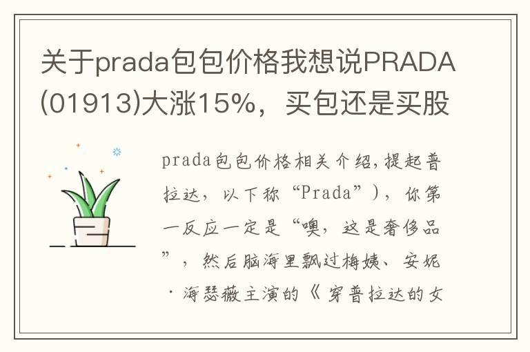 关于prada包包价格我想说PRADA(01913)大涨15%，买包还是买股票？