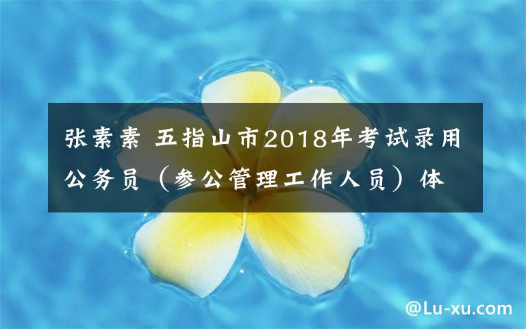 张素素 五指山市2018年考试录用公务员（参公管理工作人员）体检情况公示