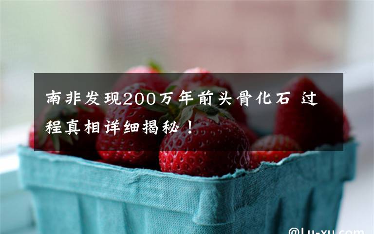 南非发现200万年前头骨化石 过程真相详细揭秘！