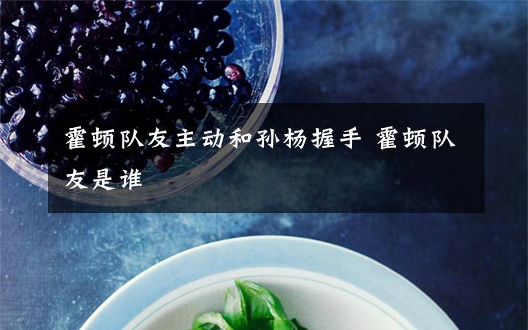 霍顿队友主动和孙杨握手 霍顿队友是谁