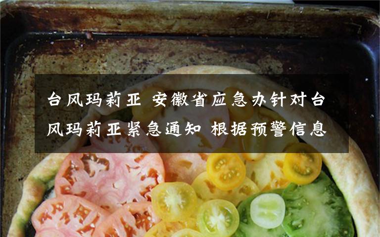 台风玛莉亚 安徽省应急办针对台风玛莉亚紧急通知 根据预警信息做好群众转移避险