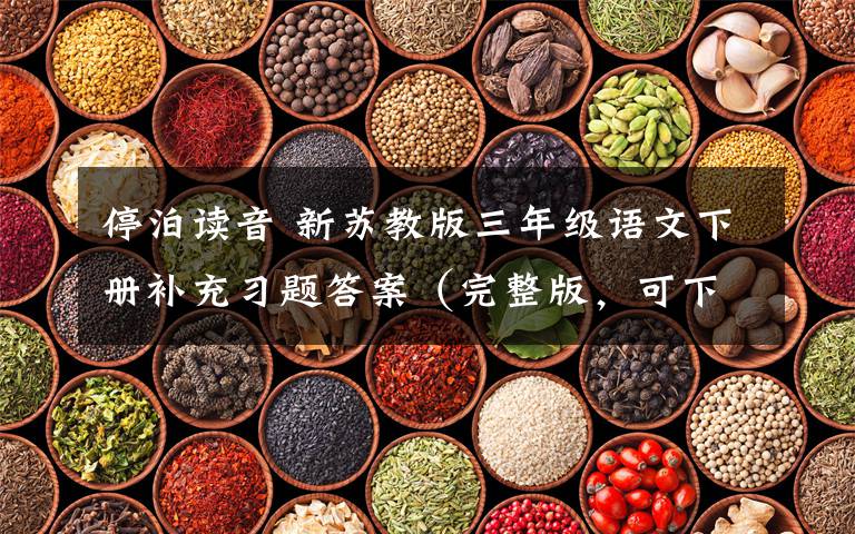 停泊读音 新苏教版三年级语文下册补充习题答案（完整版，可下载）
