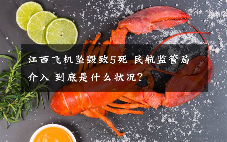 江西飞机坠毁致5死 民航监管局介入 到底是什么状况？