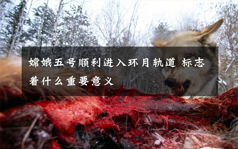 嫦娥五号顺利进入环月轨道 标志着什么重要意义