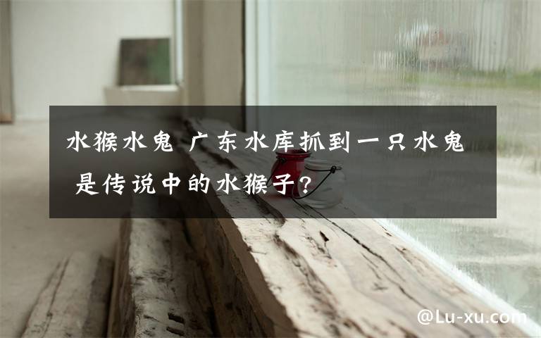 水猴水鬼 广东水库抓到一只水鬼 是传说中的水猴子?