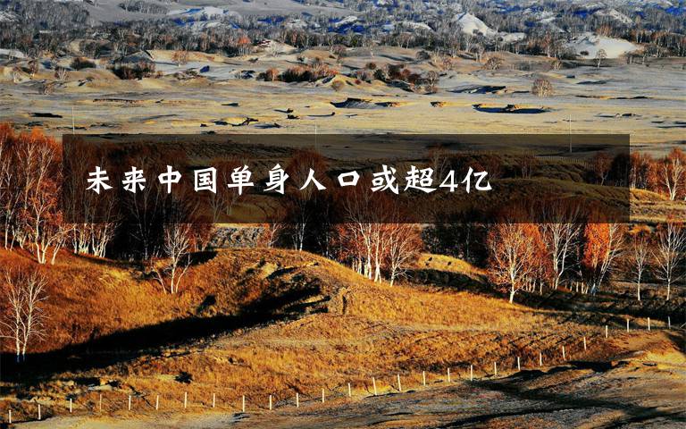 未来中国单身人口或超4亿
