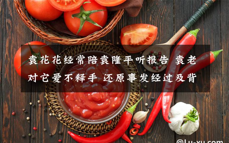 袁花花经常陪袁隆平听报告 袁老对它爱不释手 还原事发经过及背后原因！