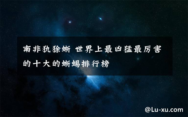 南非犰狳蜥 世界上最凶猛最厉害的十大的蜥蜴排行榜