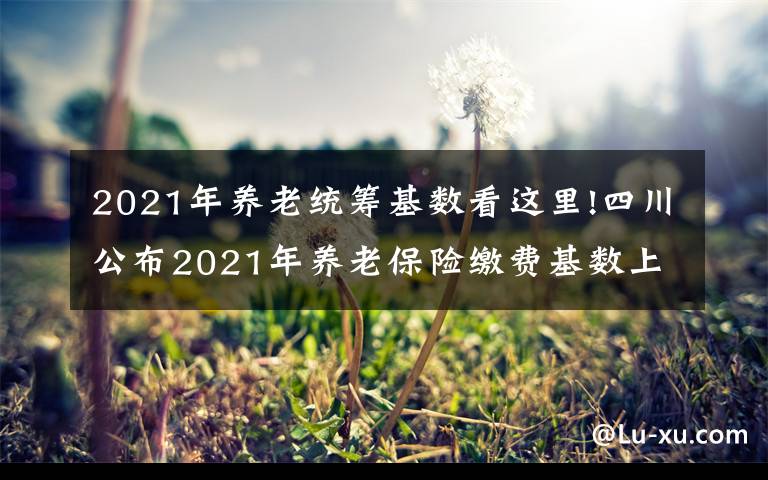 2021年养老统筹基数看这里!四川公布2021年养老保险缴费基数上下限标准：2个问题需要注意