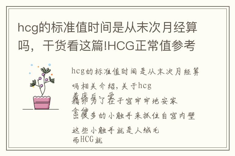 hcg的标准值时间是从末次月经算吗，干货看这篇!HCG正常值参考范围？血HCG与尿HCG有什么不同呢？