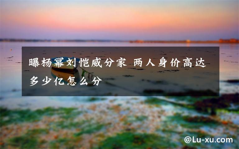 曝杨幂刘恺威分家 两人身价高达多少亿怎么分
